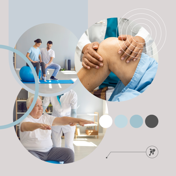 Фитокрем-бальзам (Крем для суставов, фитокрем) для суставов, локтей 250 мл. DctrGo  в Москве