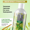 OLJE Натуральный шампунь для сухих волос с экстрактом березовых почек и кератином 1000 мл в Москве