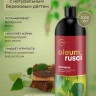 Be-Wilds Натуральный шампунь для волос дегтярный 1000 мл в Москве